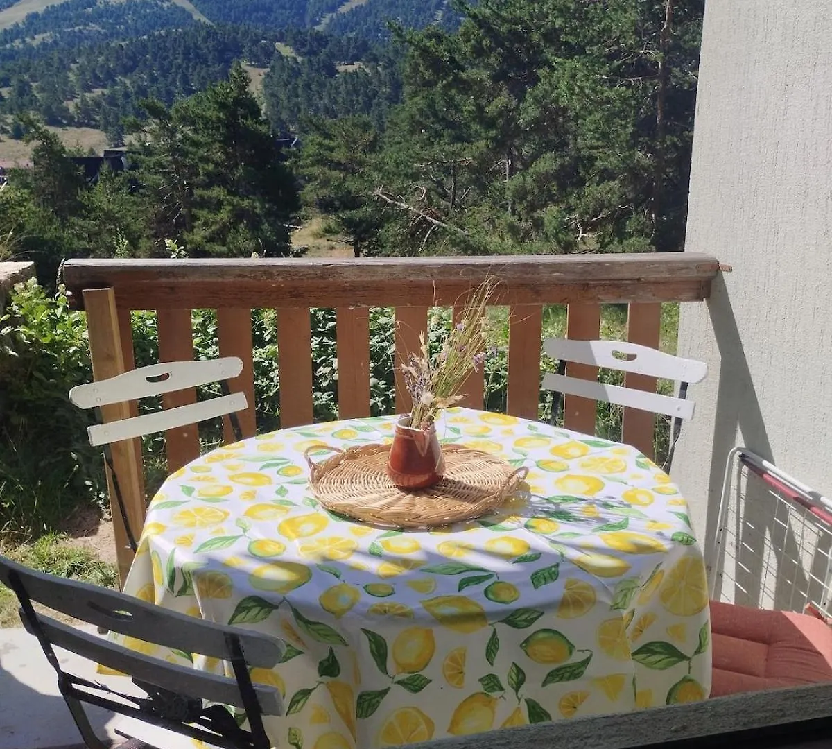 Apartment Greolieres Les Neiges Studio 4 Personnes